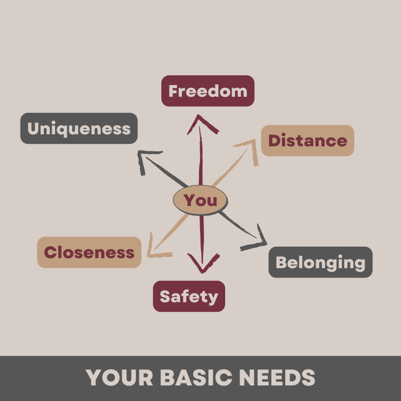 Your basic needs, source for positive and negative feelings.